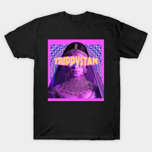 trippystan cover T-Shirt